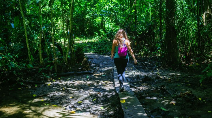 Pour les amoureux de la forêt tropicale : 9 jours