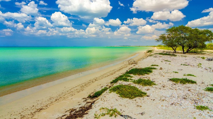 Playa El Pilón de Azúcar