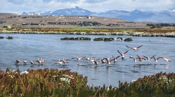 El Calafate