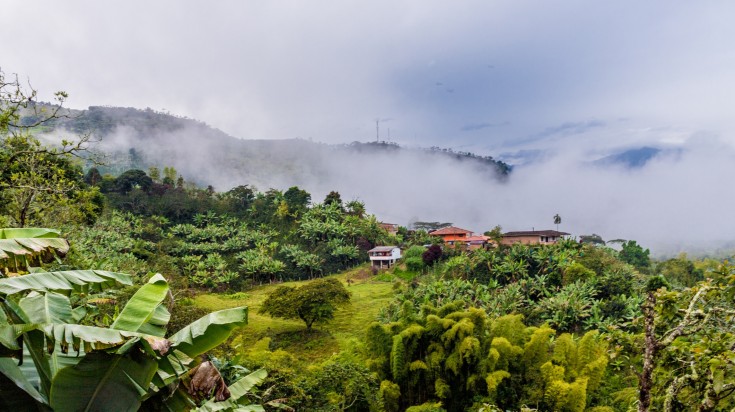 Jardín