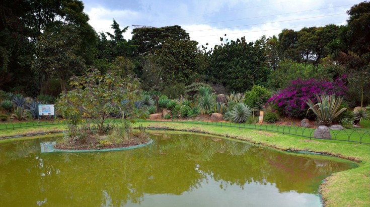 Se détendre dans un jardin
