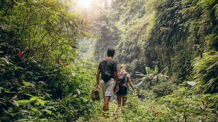 Randonneur sur un sentier de forêt tropicale au Costa Rica