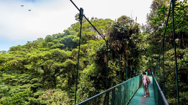 Forêt nuageuse de Monteverde