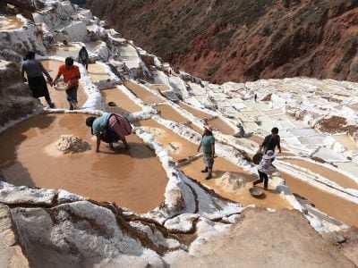 Paysans récoltant le sel dans les bassins des salines de Maras