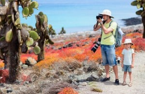 Tortue géante aux Galápagos