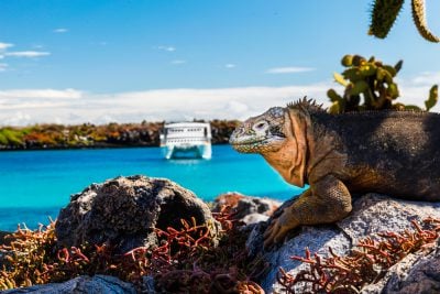 Faune des Galápagos