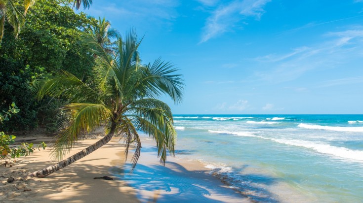 La côte caraïbe du Costa Rica : 2. Puerto Viejo