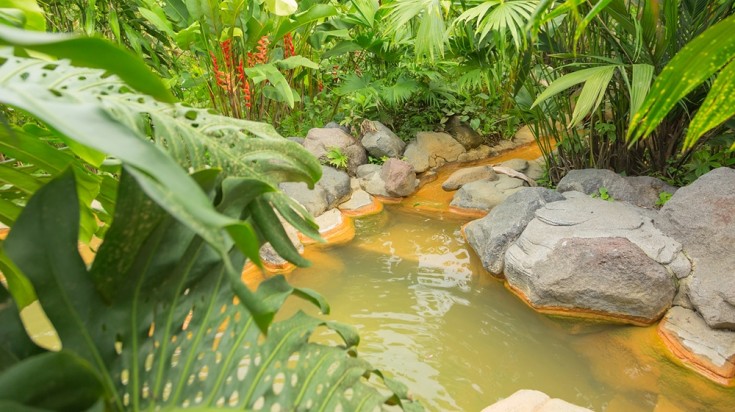 Visiter le volcan Arenal et profiter des sources d’eau chaude