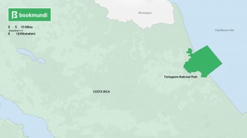 Partir à la recherche de tortues sur les rives de Tortuguero