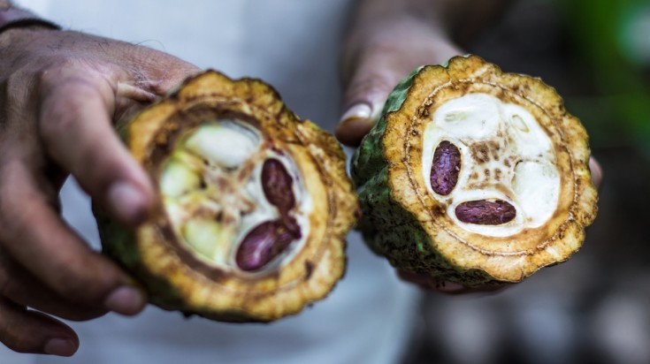 Une visite de dégustation de chocolat pour émoustiller les papilles