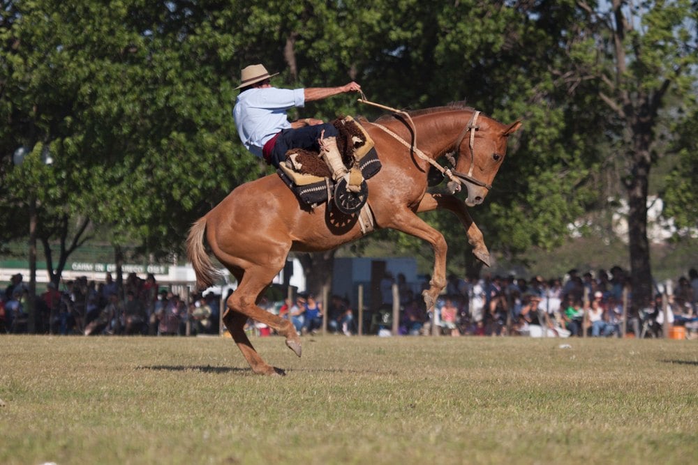 Rencontrer les gauchos en Argentine