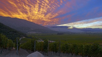 Clos Apalta