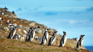Pourquoi partir en voyage en Patagonie