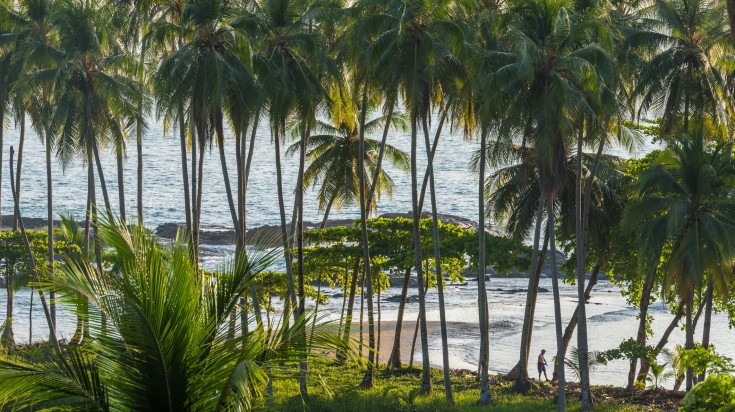Pourquoi visiter le Costa Rica en septembre