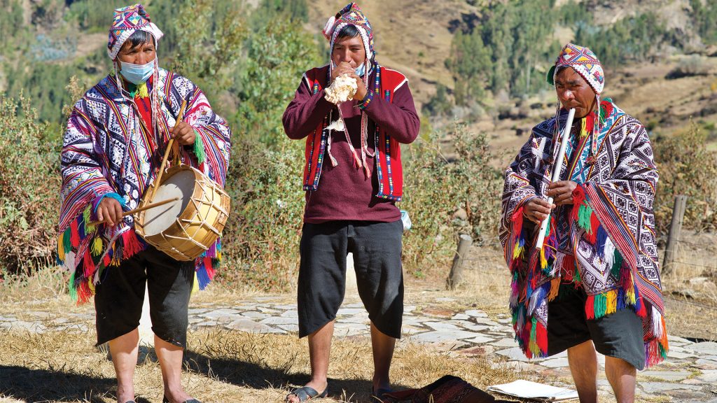 Lamas et alpagas dans la région de Cusco