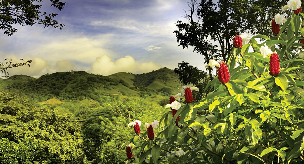 Écotourisme en Amérique centrale et du Sud : forêt tropicale et parc national