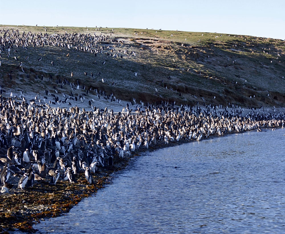 Écotourisme au Pérou, en Équateur et en Argentine : sites naturels