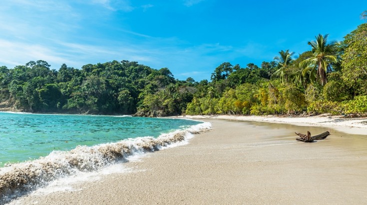 Plage de sable clair bordée de forêt tropicale dans le parc national Manuel Antonio