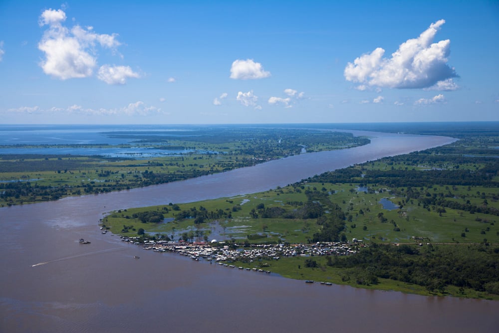 Fleuve Amazone et forêt tropicale