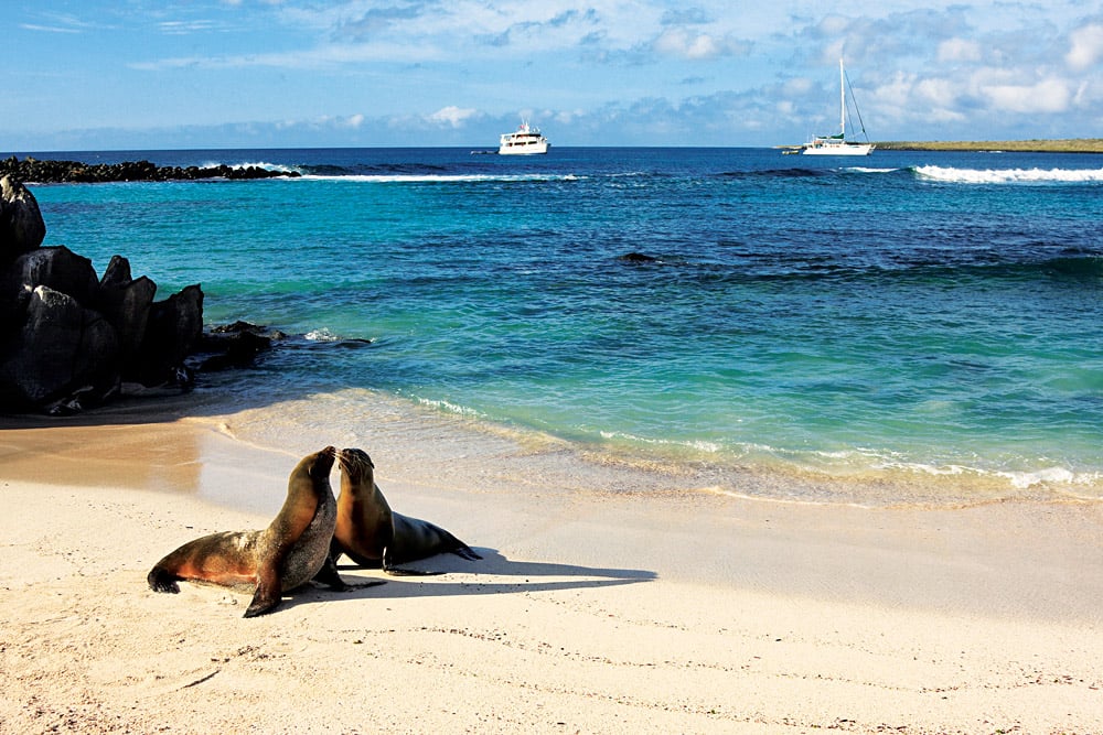 Les îles Galápagos, en Équateur