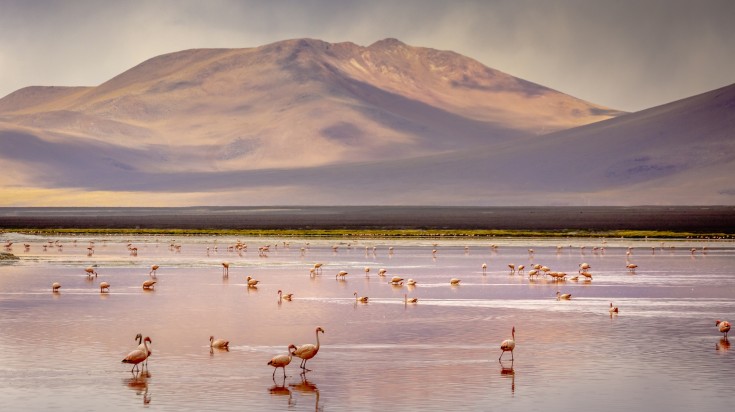 La Bolivie en octobre : paysages et activités selon la saison