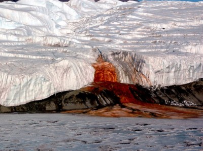 Cascade de Sang, filet d’eau rouge s’écoulant d’un glacier antarctique