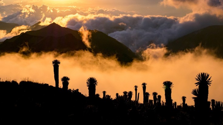La Colombie en janvier : paysages et activités selon la saison