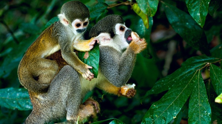 La Colombie en août : paysages et activités selon la saison