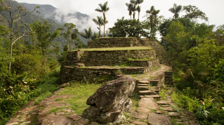 Terrasses circulaires en pierre et escalier de la Cité perdue, entourés de forêt tropicale et de palmiers dans la Sierra Nevada de Santa Marta