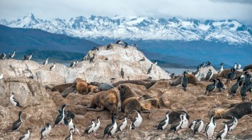 La Patagonie en septembre : activités et paysages