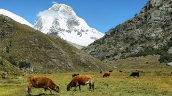 Laguna 69 : Autres randonnées et treks à la journée