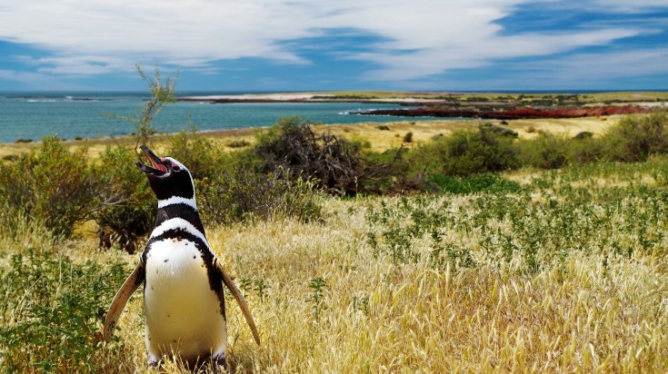 L’Argentine en juillet : activités et paysages