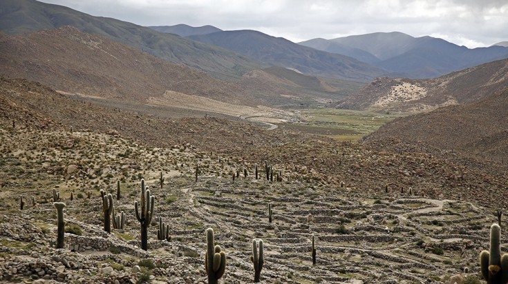 Les Salinas Grandes en une journée depuis Salta : Excursion d’une journée à Salinas Grandes