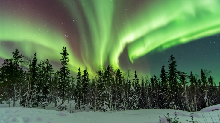 Le Canada en janvier : activités et paysages