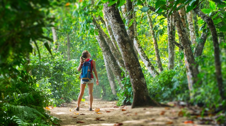 Paysage du Costa Rica en janvier, en saison sèche