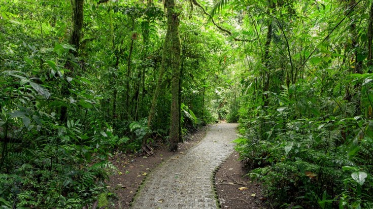 Volcans et forêts tropicales : 5 jours