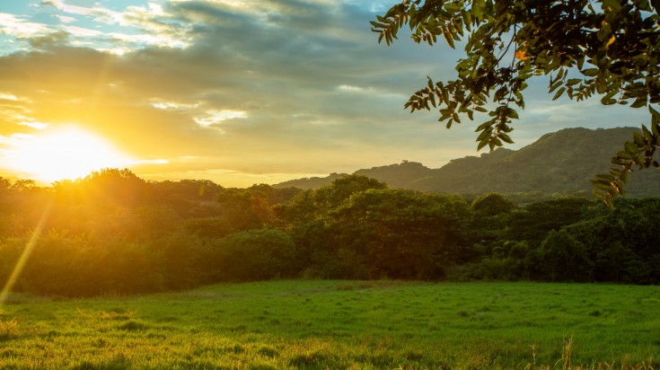 Forêt verdoyante du Costa Rica en mai