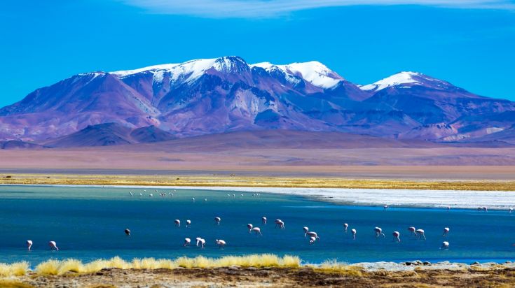 Paysage du désert d’Atacama, au Chili