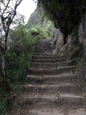 Sentier et marches du Huayna Picchu
