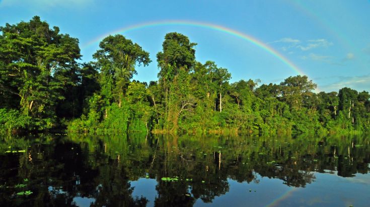 Rivière et forêt tropicale de l’Amazonie péruvienne