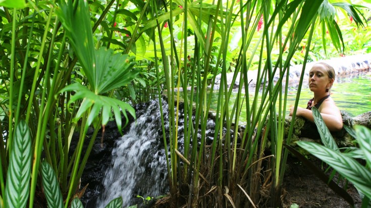 Forêt tropicale du Costa Rica