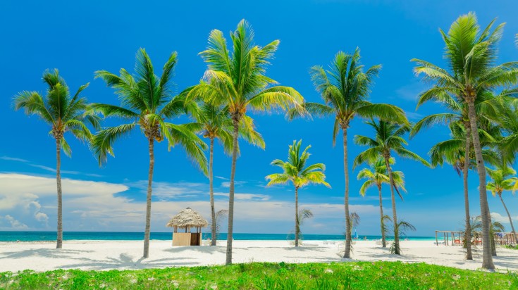 Paysage de Cuba