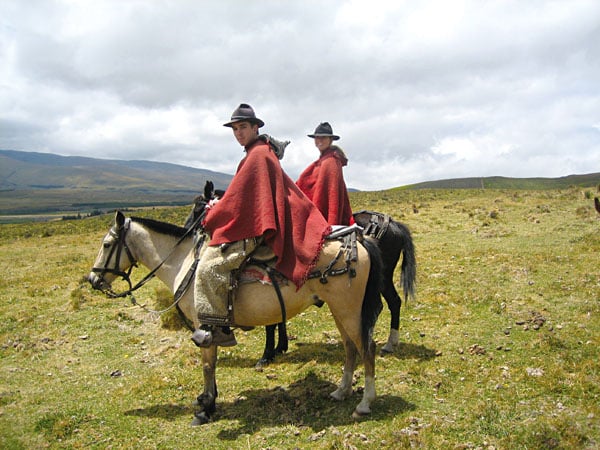 La cordillère des Andes