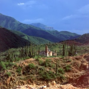 Paysage de montagne couvert de cactus dans le nord du Mexique