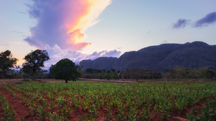 Illustration : 2. Viñales