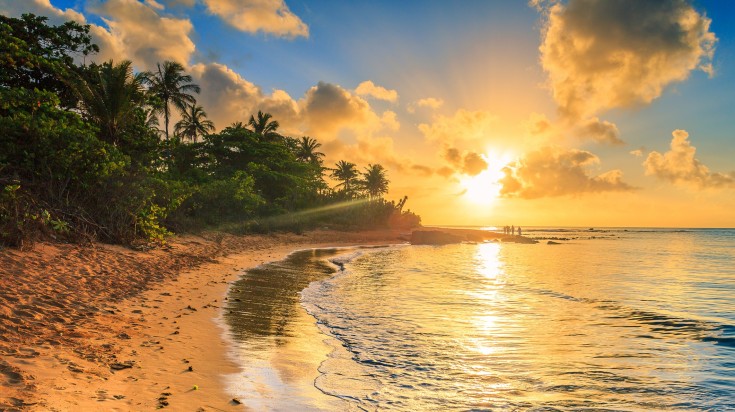 Le Brésil en décembre : activités et paysages
