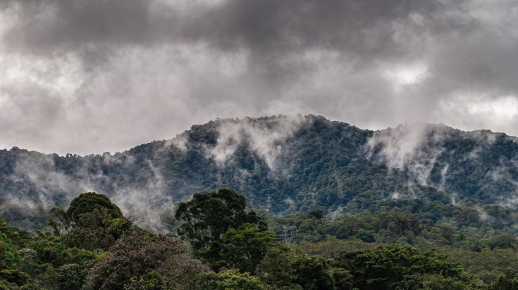 Illustration : Météo et température au Costa Rica en hiver