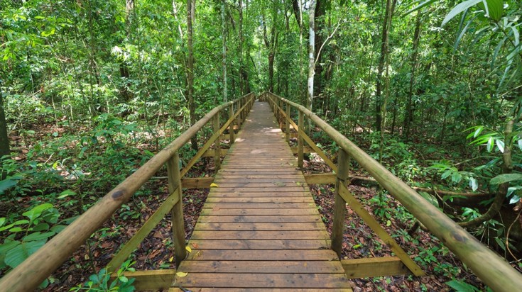 Illustration : 2. Parc national de Manuel Antonio
