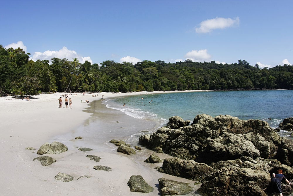 Écotourisme en Amérique centrale et du Sud : forêt tropicale et parc national
