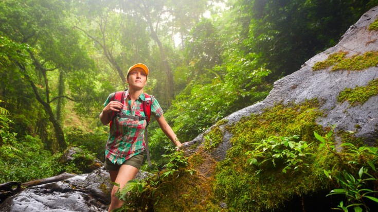 Sentier de randonnée dans la forêt tropicale de Corcovado